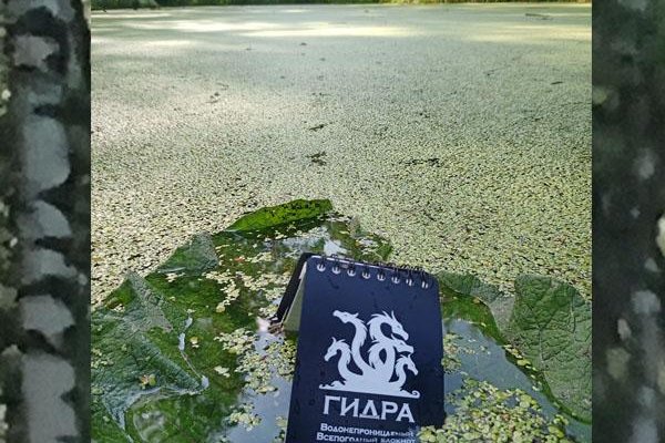 Кракен сайт зеркало рабочее на сегодня