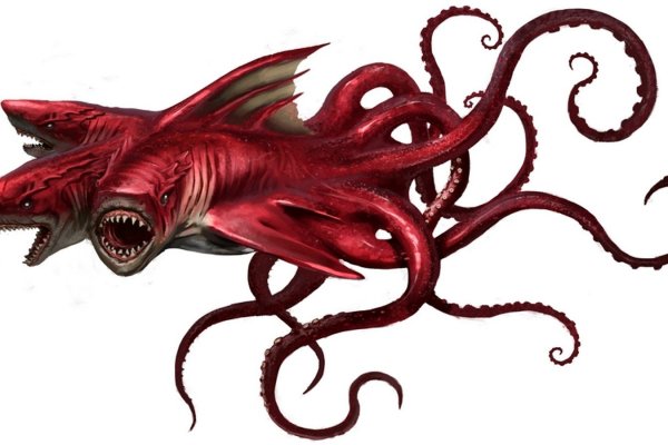 Kraken platform