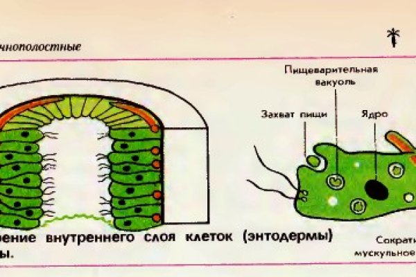 Кракен сайт с наркотиками