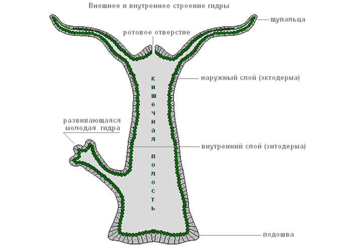 Как вернуть профиль в кракене