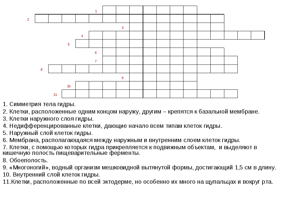 Что можно купить в кракене