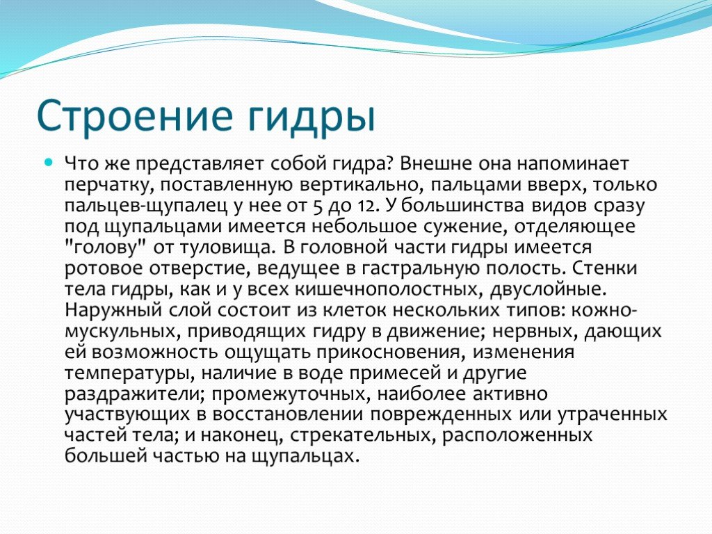 Регистрация на сайте кракен